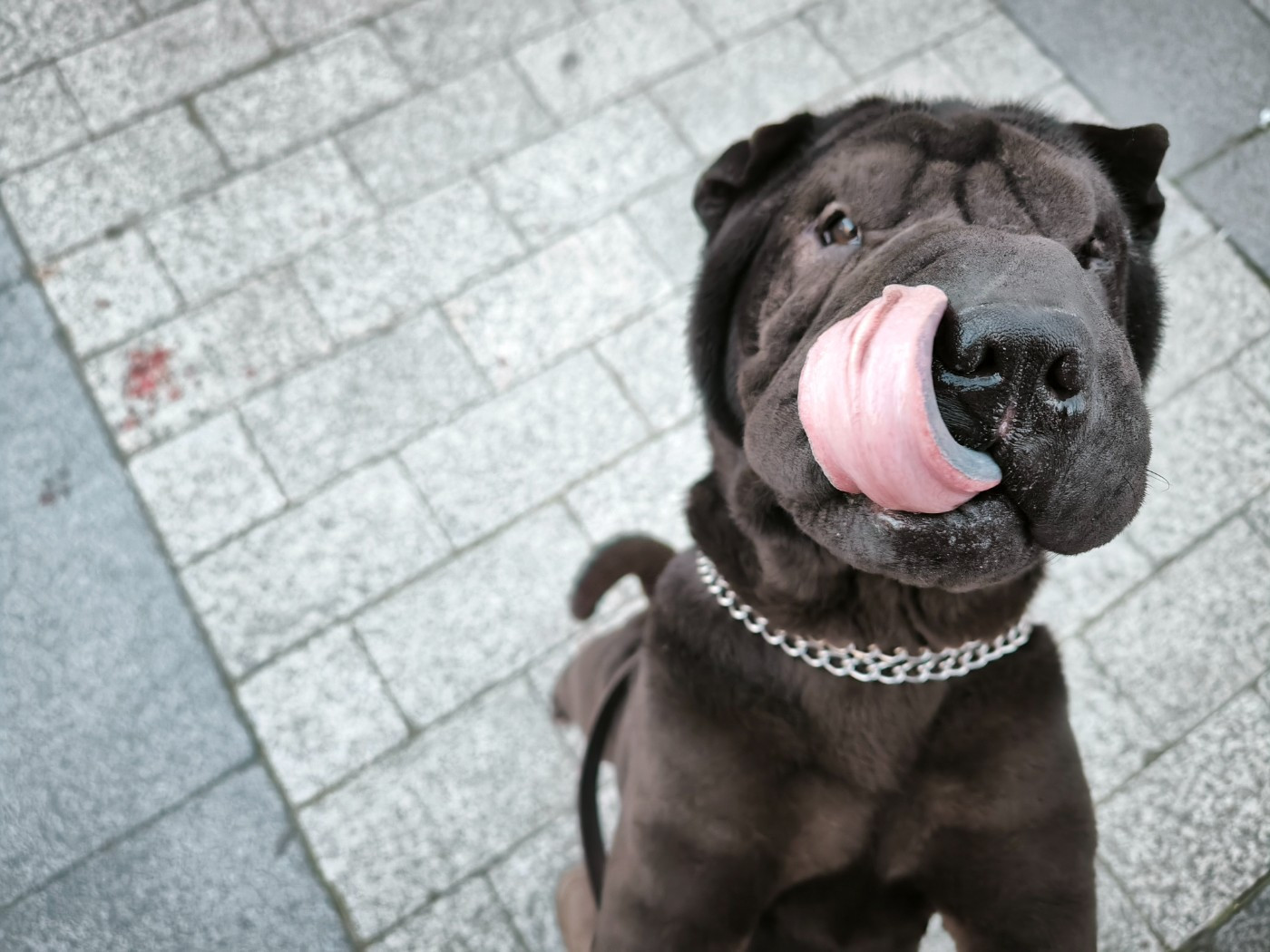 Chronique dans l'émission Bienvenue chez vous du 9 janvier 2026, sur Ici Limousin