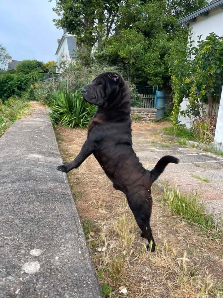Des nouvelles de bébé Arthur, en vacances.